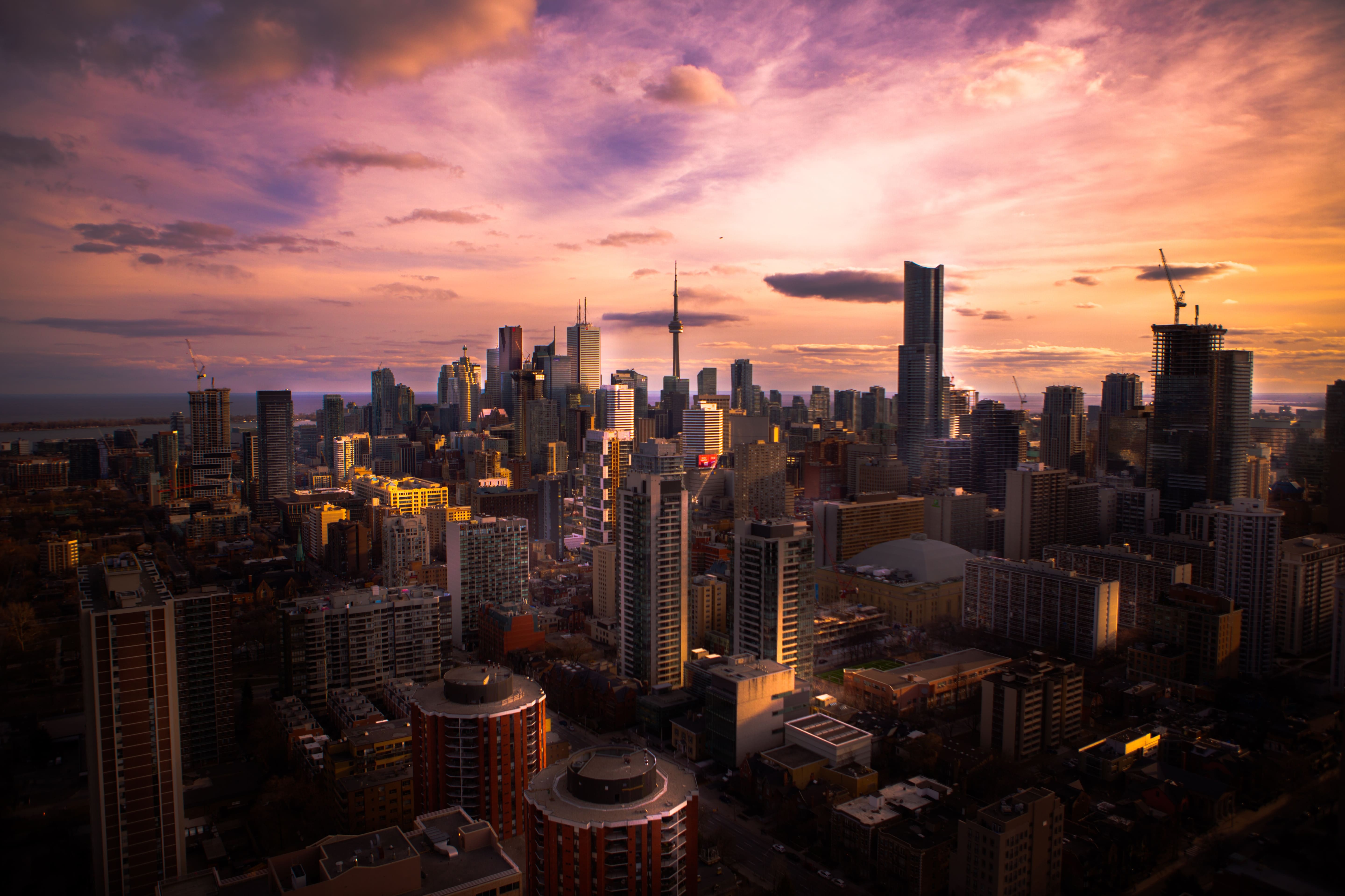 blockchain development companies toronto