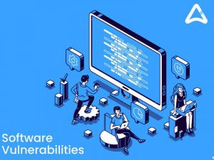 Software Vulnerabilities