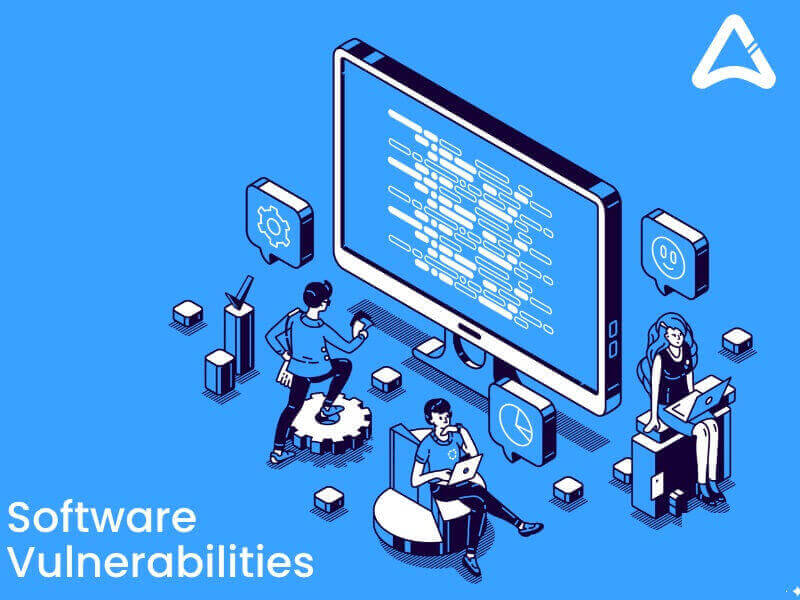 Software Vulnerabilities
