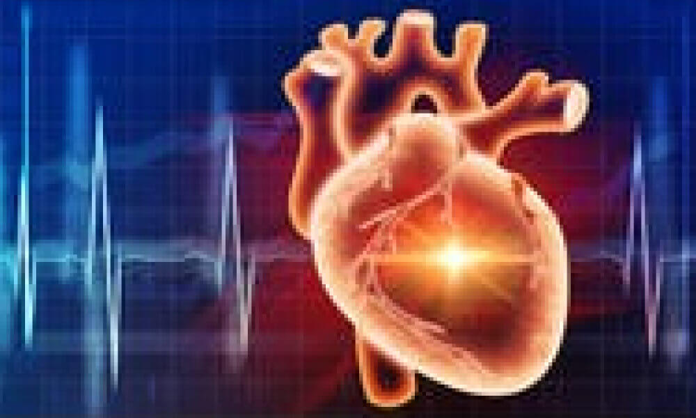 Cardiovascular Abnormalities